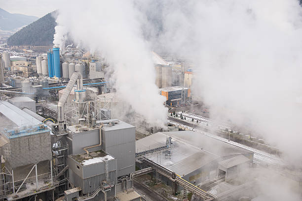 Expert Indoor Air Quality Assessment